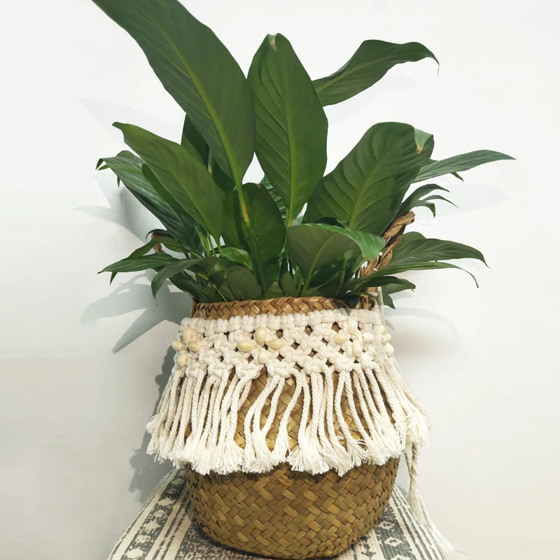 Handwoven Seagrass Basket with Tassel — Natural Elegance for Your Home